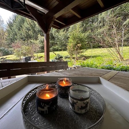 Charming Villa On The Forest In Wald 12 Guests Hugh Garden Willingen Sauerland Брилон Экстерьер фото
